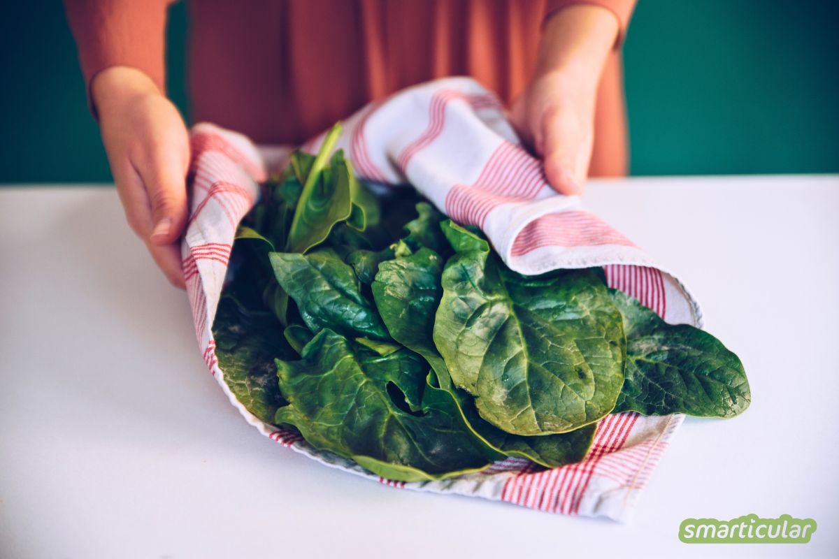 Frischen Spinat Zubereiten So Gelingt Das Gr Ne Superfood Smarticular